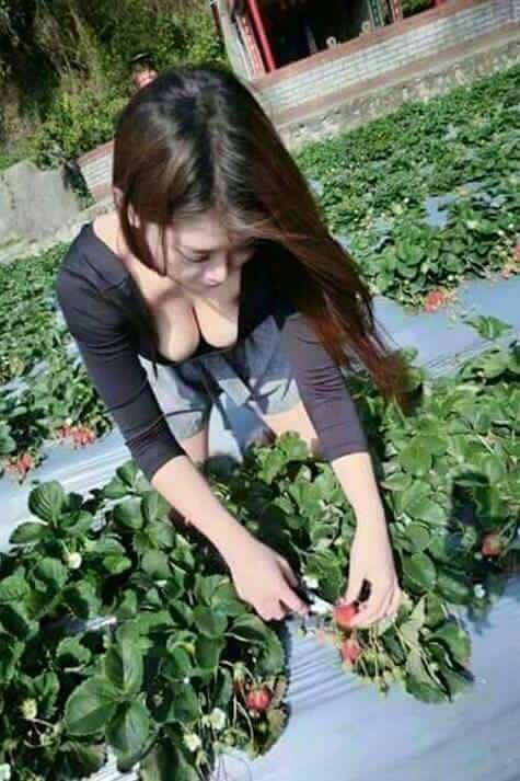 แอบส่องสาวๆจากทางบ้าน