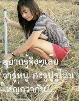 แอบส่องสาวๆจากทางบ้าน