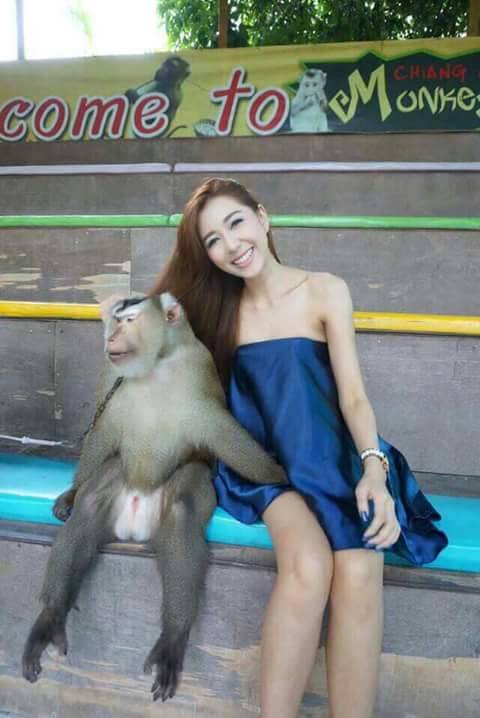 แอบส่องสาวๆจากทางบ้าน