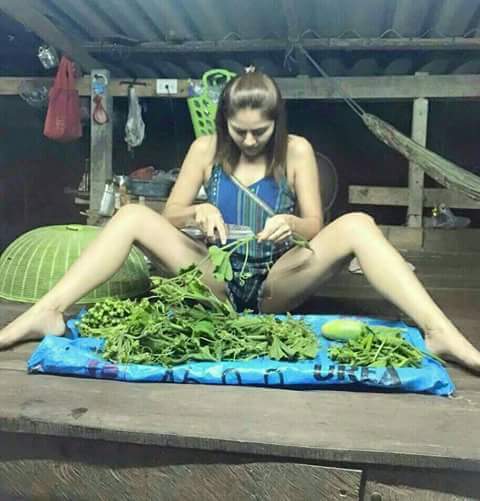 แอบส่องสาวๆจากทางบ้าน